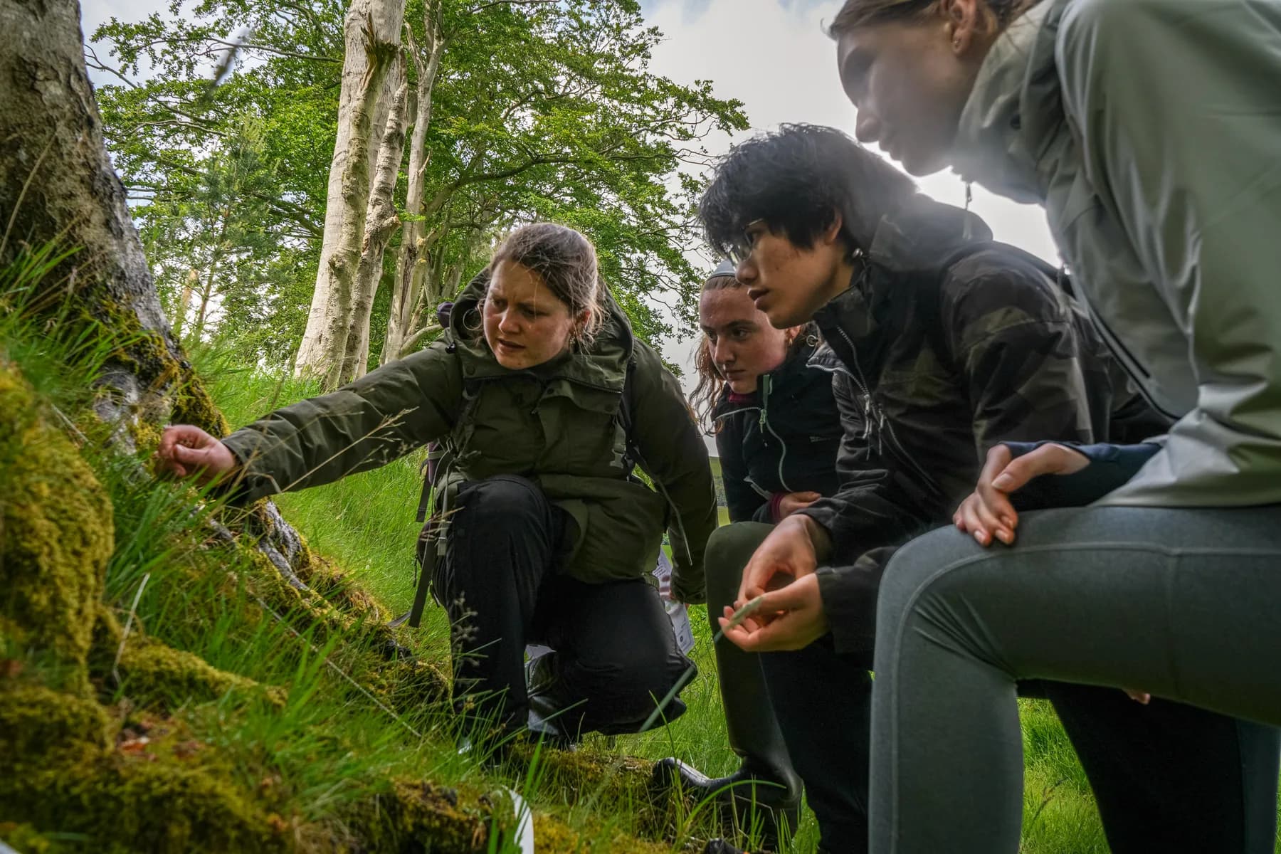 A group of students from the University of Edinburgh are led by a PhD student, Alice, to collect data for research on native grasses at Rullion Green Wood. The grasses help indicate the health of young trees planted by the university on the formerly developed land.
