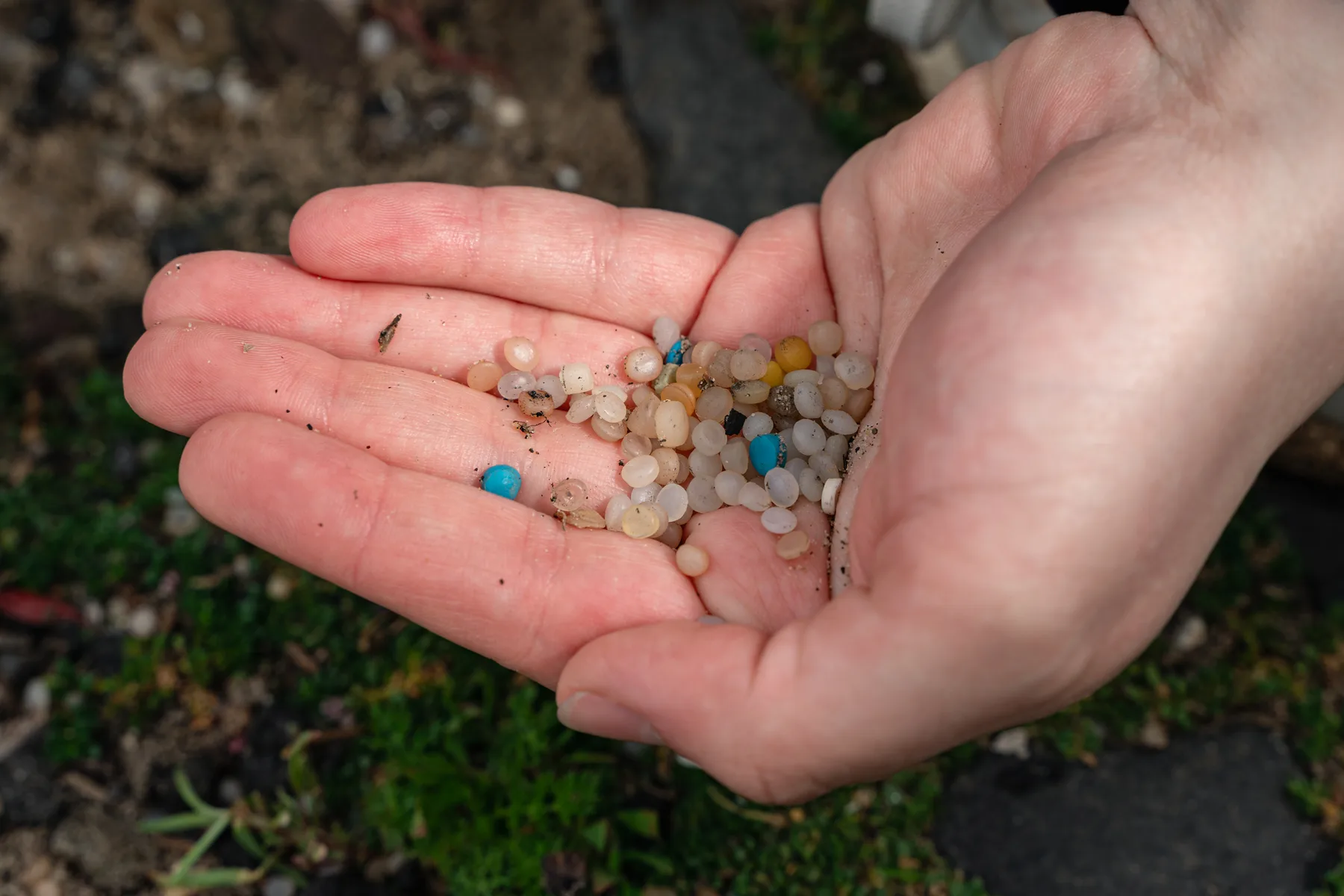 The Environmental Renaissance, photograph 9 of 20