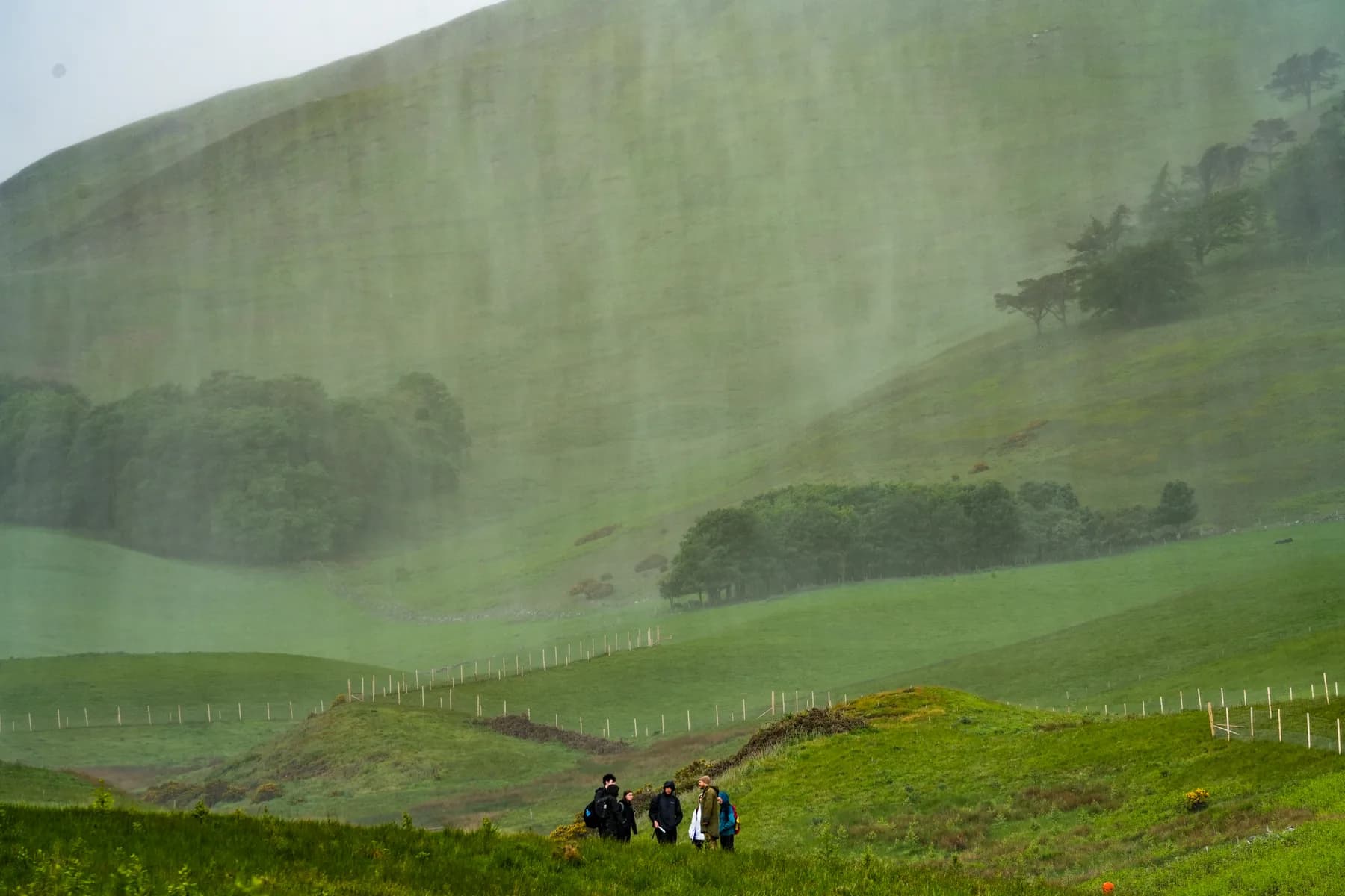 The Environmental Renaissance, photograph 14 of 20
