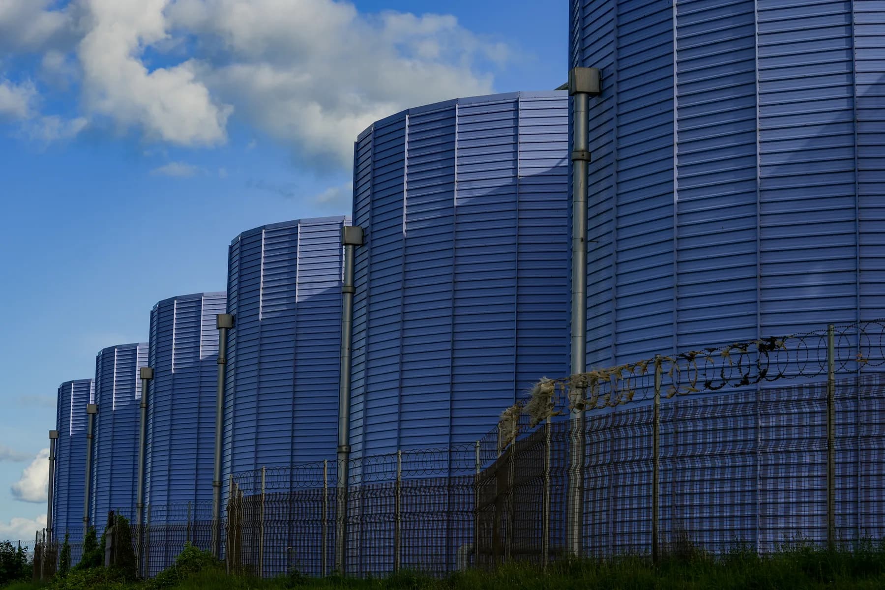 The Environmental Renaissance, photograph 15 of 20